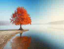 百度输入法截图